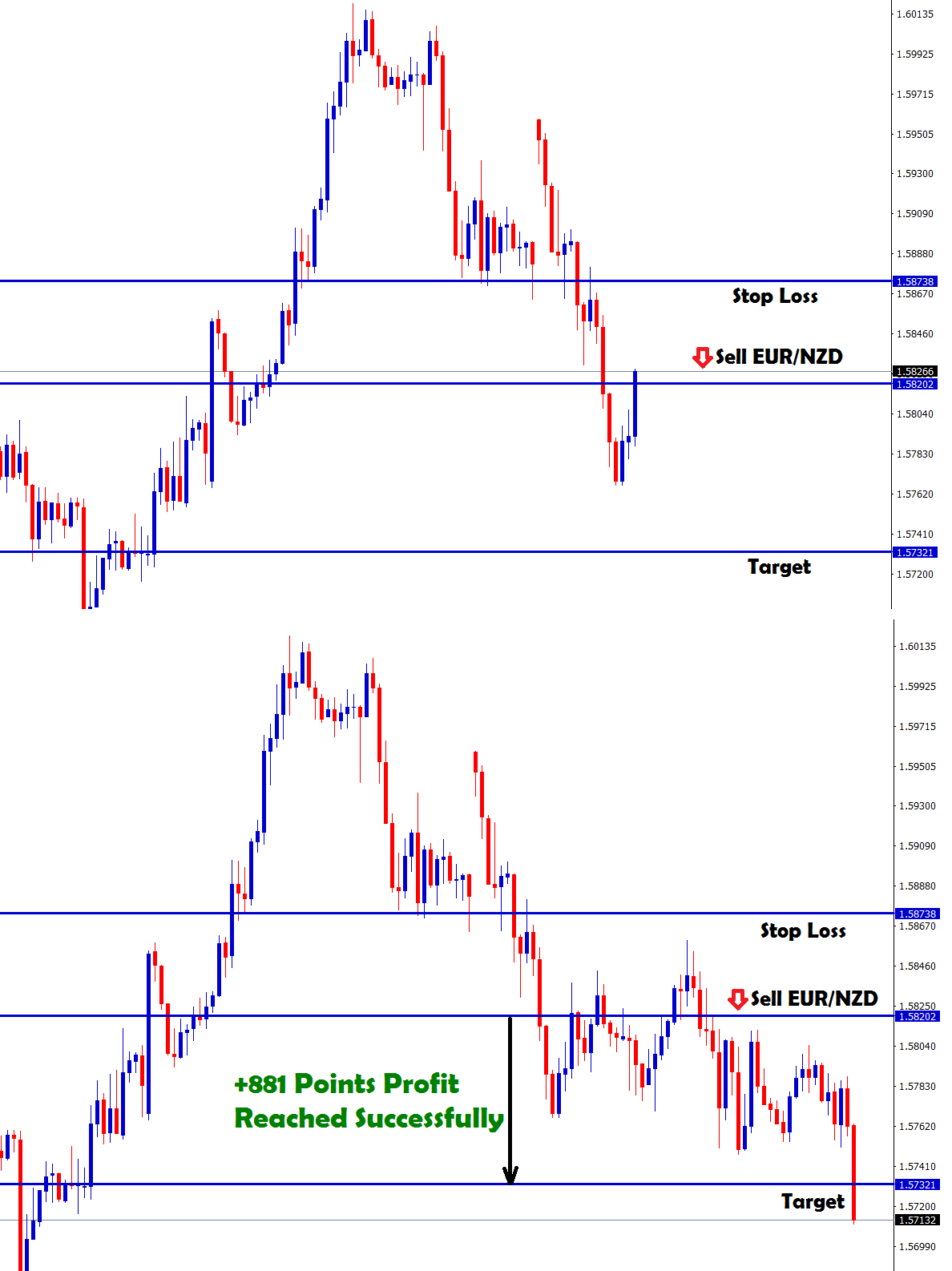 Technical and Fundamental Strategies to Profit from Market Moves