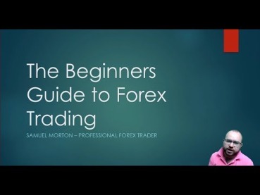 forex trading basics pdf