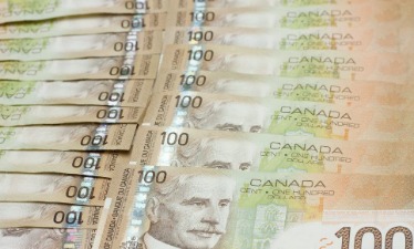 canadian dollar down