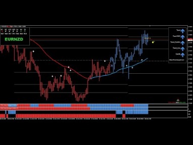 nzdcad news