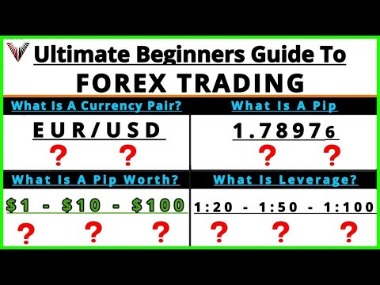 Best Forex Trading Tips For Beginners